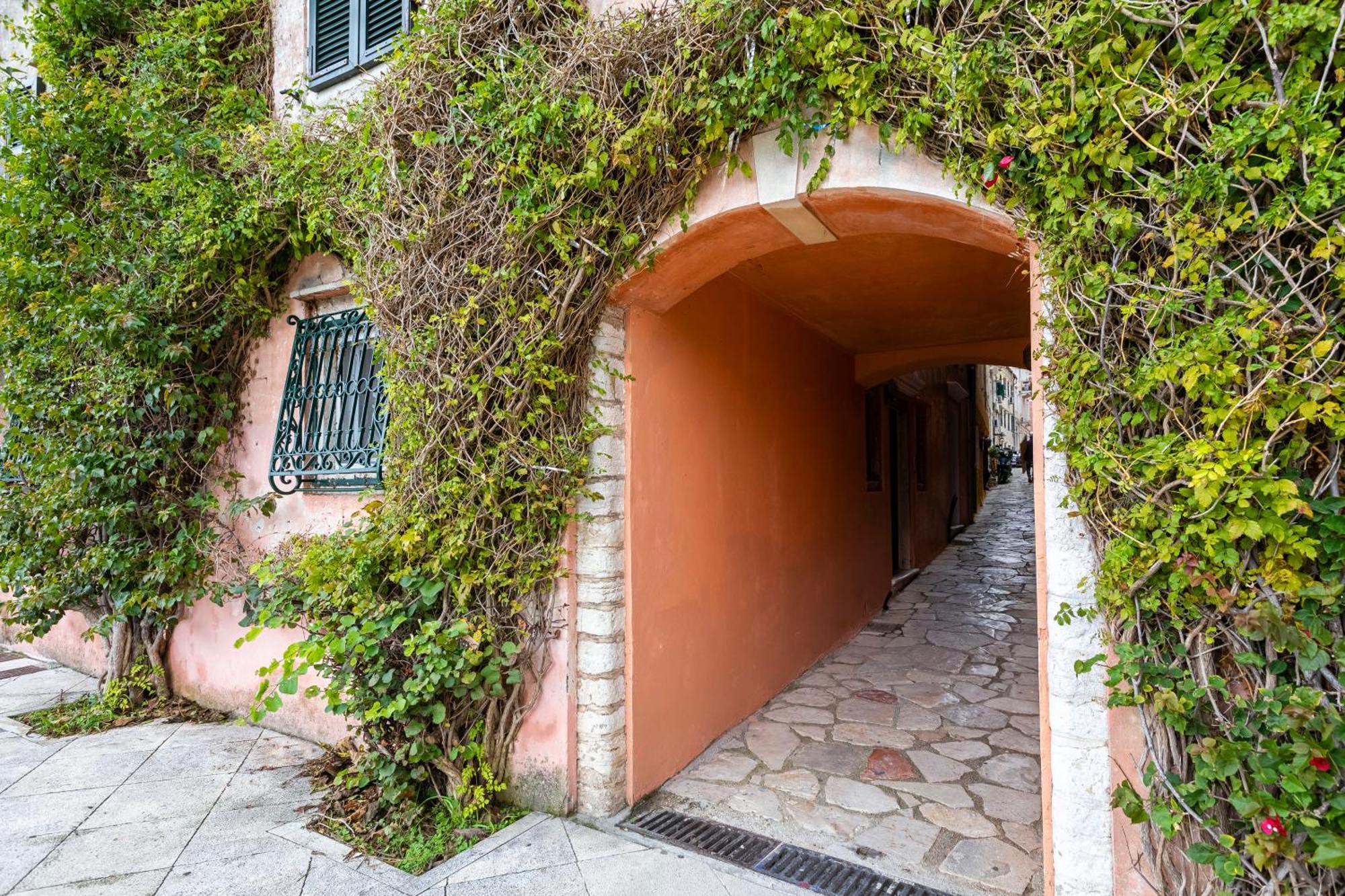 Studios In Corfu Corfu  Экстерьер фото